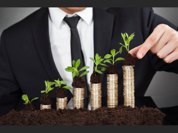 2014 YILI DEVLET DESTEKLEMELERİ BELLİ OLDU