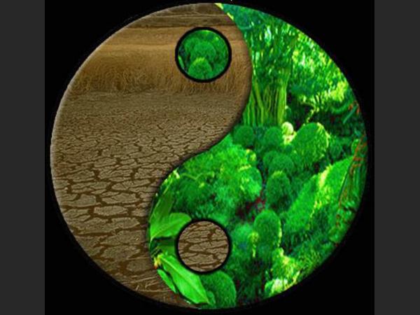 6912 SAYILI ÖZEL AĞAÇLANDIRMA TAMİMİ